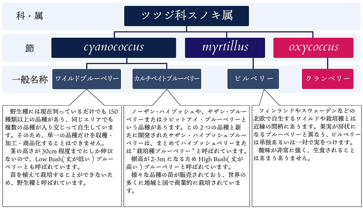 栽培エリアマップ